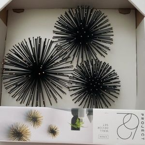 Sea Urchin Star Burst Wall Decor